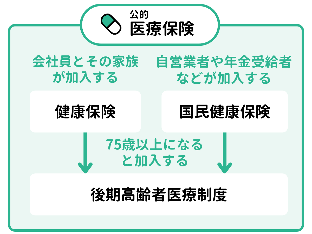 公的医療保険